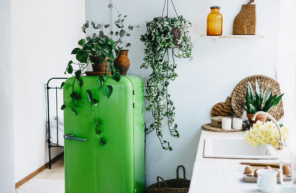 Cucina confortevole e luminosa in cui spicca un frigorifero vintage di color verde acceso