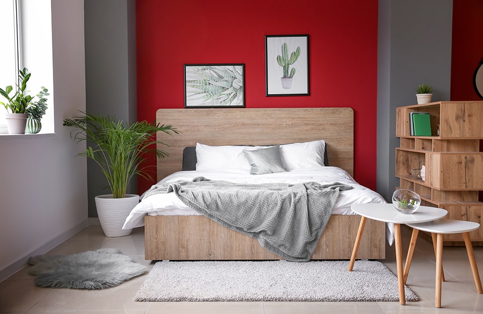 Dormitorio diáfano, separado por una librería de madera de estilo moderno. La cama es de madera natural y sobre el cabecero hay dos estampados de naturaleza. La pared de detrás de la cama es roja y está rodeada por dos columnas grises. La otra pared visible es blanca y hay una ventana. A un lado de la cama hay un gran helecho en maceta. En el alféizar de la ventana hay otras plantas pequeñas. Al final de la cama hay dos alfombras diferentes y dos mesitas de madera a juego;